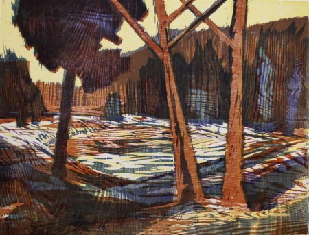 Solskinnsdag i skogen