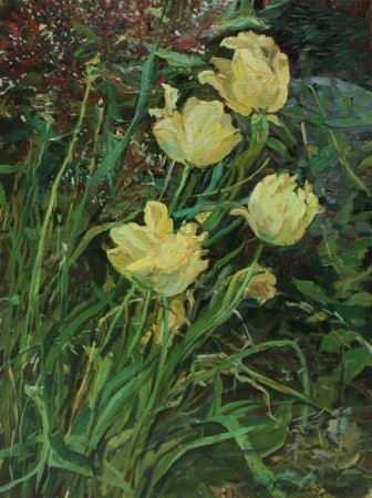 Yellow Tulips 