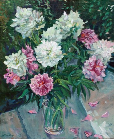 Peonies - 2024 