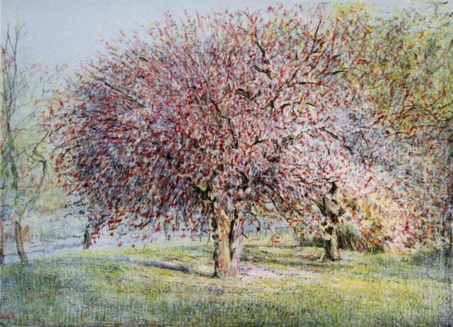 Erlend Briggar Larsen